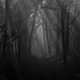 Image Credit - Digital Blasphemy